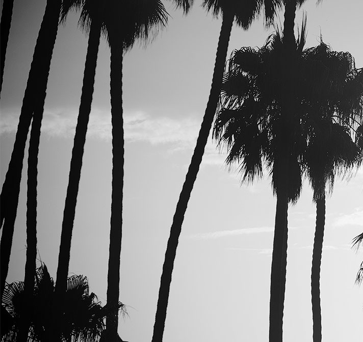 Accent Image 3